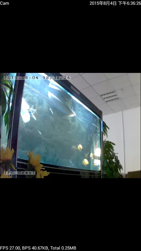 p2plivecam ͼ1