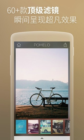 POMELOͼ2