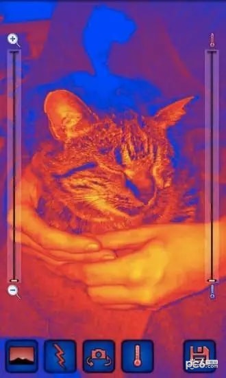 ȳ