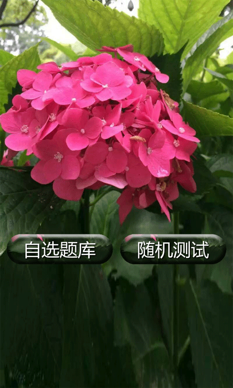пӢ⼰ͼ0