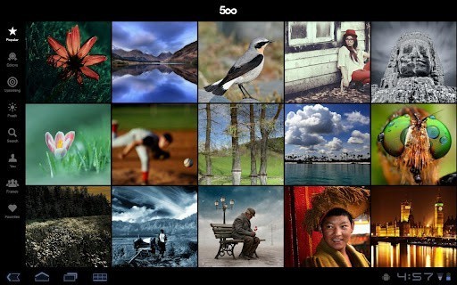 500pxרҵӰʦͼƬͼ1