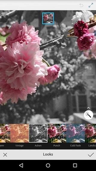Ƭ_Ƭĸ