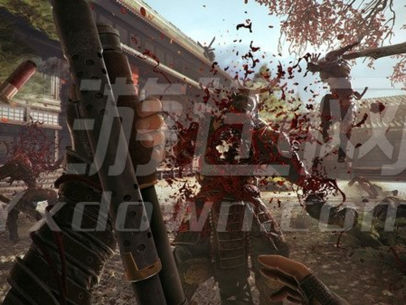 SHADOW WARRIOR 2 ͼ