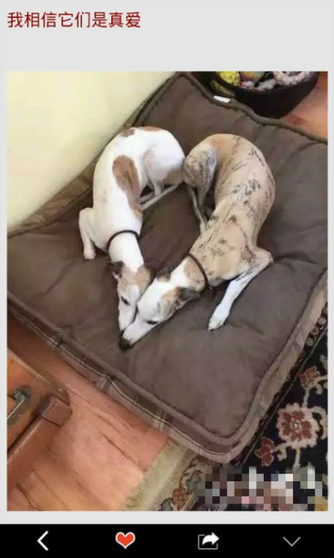 ƴЬ