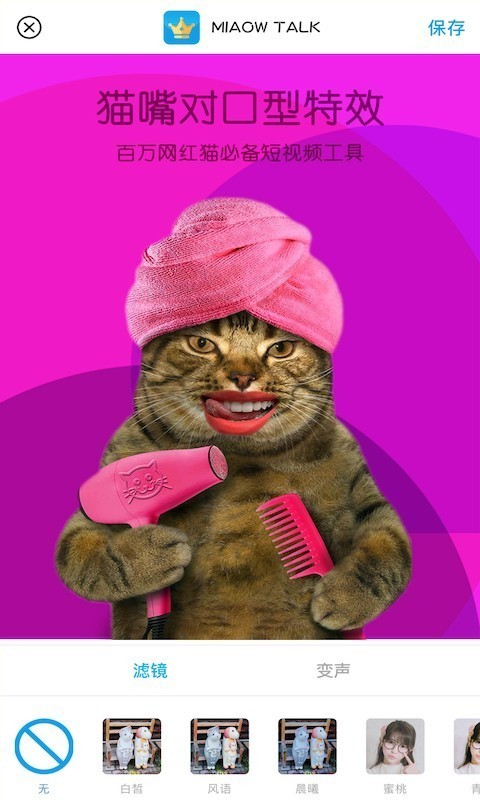 MiaowTalkèͼ1
