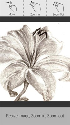Ǧʦͼ1