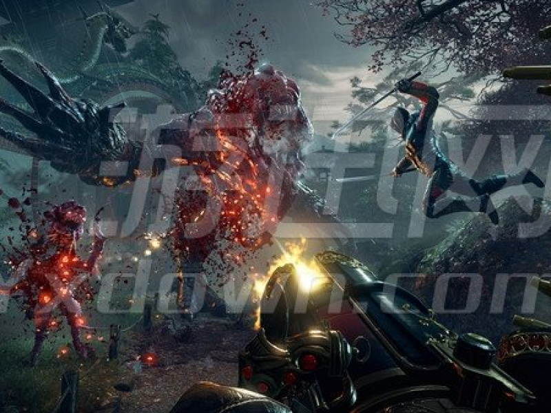 SHADOW WARRIOR 2 ͼ