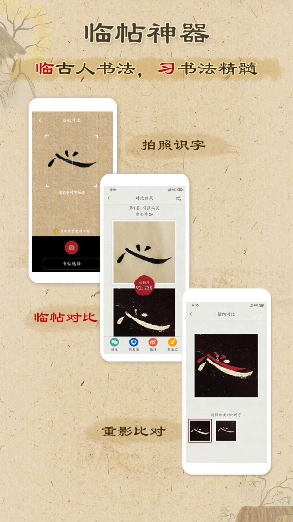 鷨
