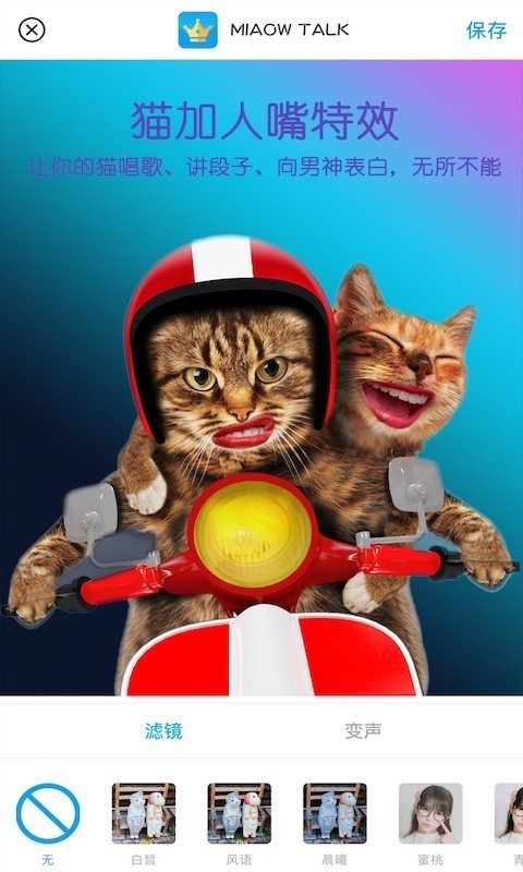 MiaowTalkè