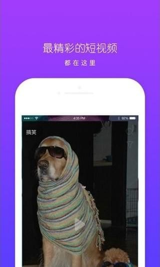 춶Ƶ