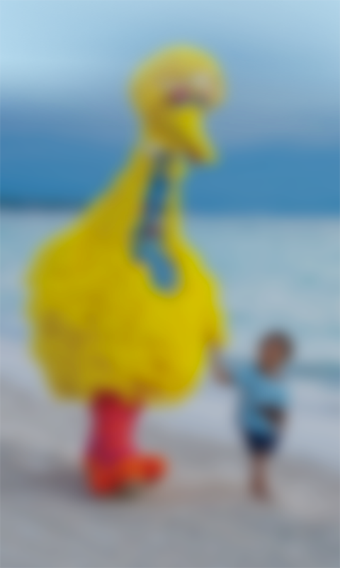 ʦͨ