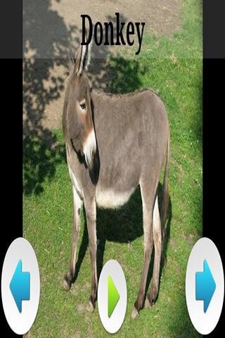 ʶ