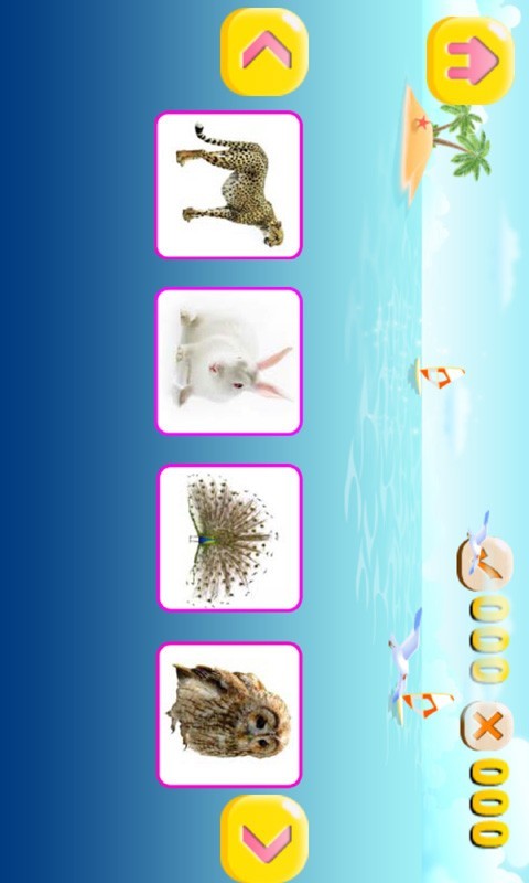 ñѧϰ