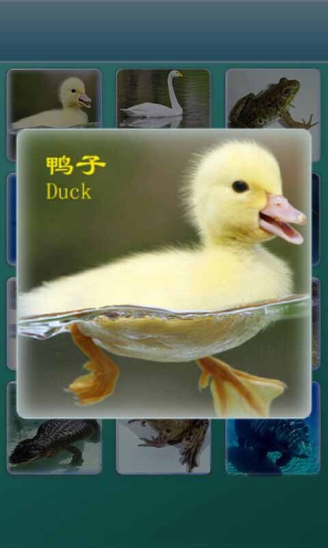 ѧʶͼ1