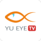 tvӵ绰