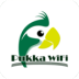 WiFi