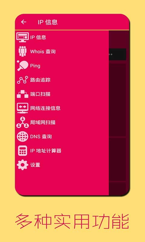 IPϢѯ