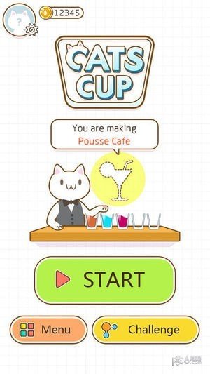 CatsCup