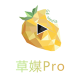 ݮPro