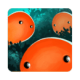 һ