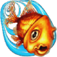 ˮ