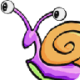ţ