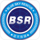 BSRԮ