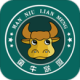 ţ