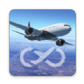 Infinite Flight