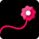 ߴ