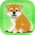 治愈系柴犬育成