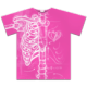 ·ʶ