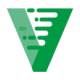 vgocar΢⳵