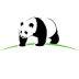 CN