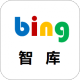 bingǿ