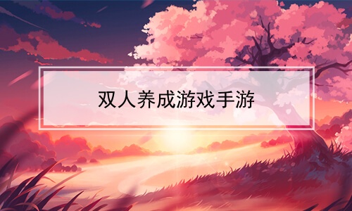 ˫Ϸ