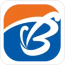 Тݹ