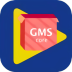 gmsinstallerװ(ȸgmsװ)