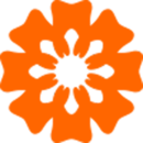 гƽ