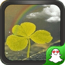 Ҷݶֽ̬(ShamrockLiveWallpaper)