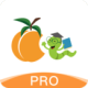 ѧPro