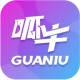 ţ