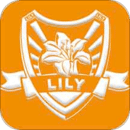 lilyת