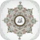 ֻ(quran)