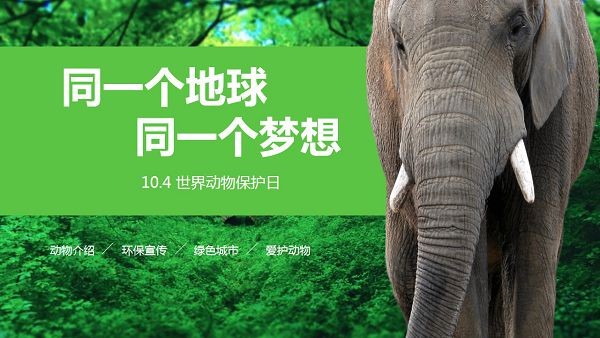 森林大象背景世界动物日PPT模板