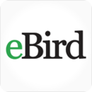 eBird