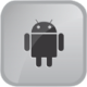 Root