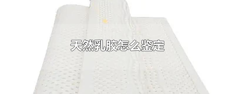Ȼ齺ô