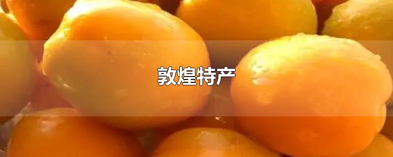 ػز