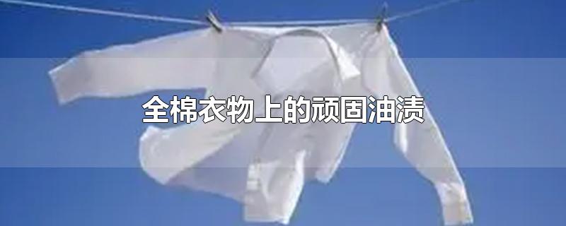 ȫϵ